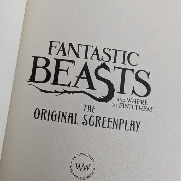 Fantastic Beasts and Where to Find Them: The Original Screenplay (Harry Potter) - Picture 4 of 10